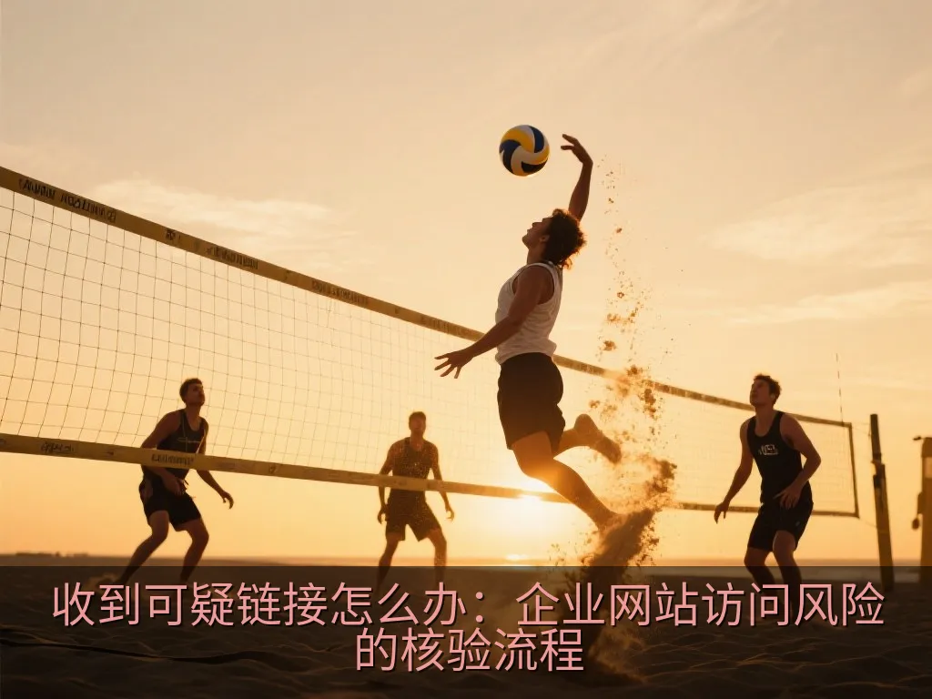简洁的网页安全核验清单与已知入口确认流程示意