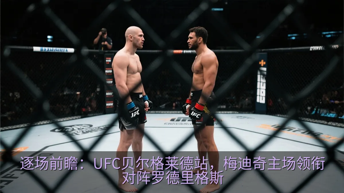 两名综合格斗选手在八角笼内对峙