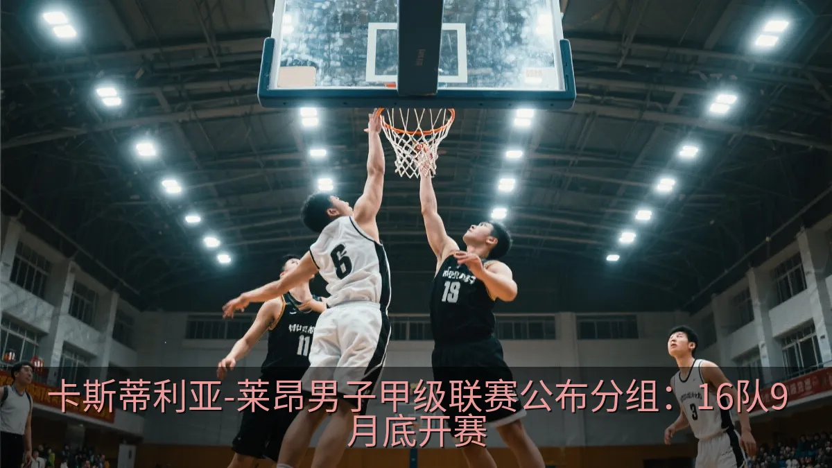 卡斯蒂利亚-莱昂男子甲级联赛公布分组：16队9月底开赛